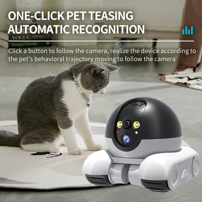 Dual-Lens IP Dome Camera